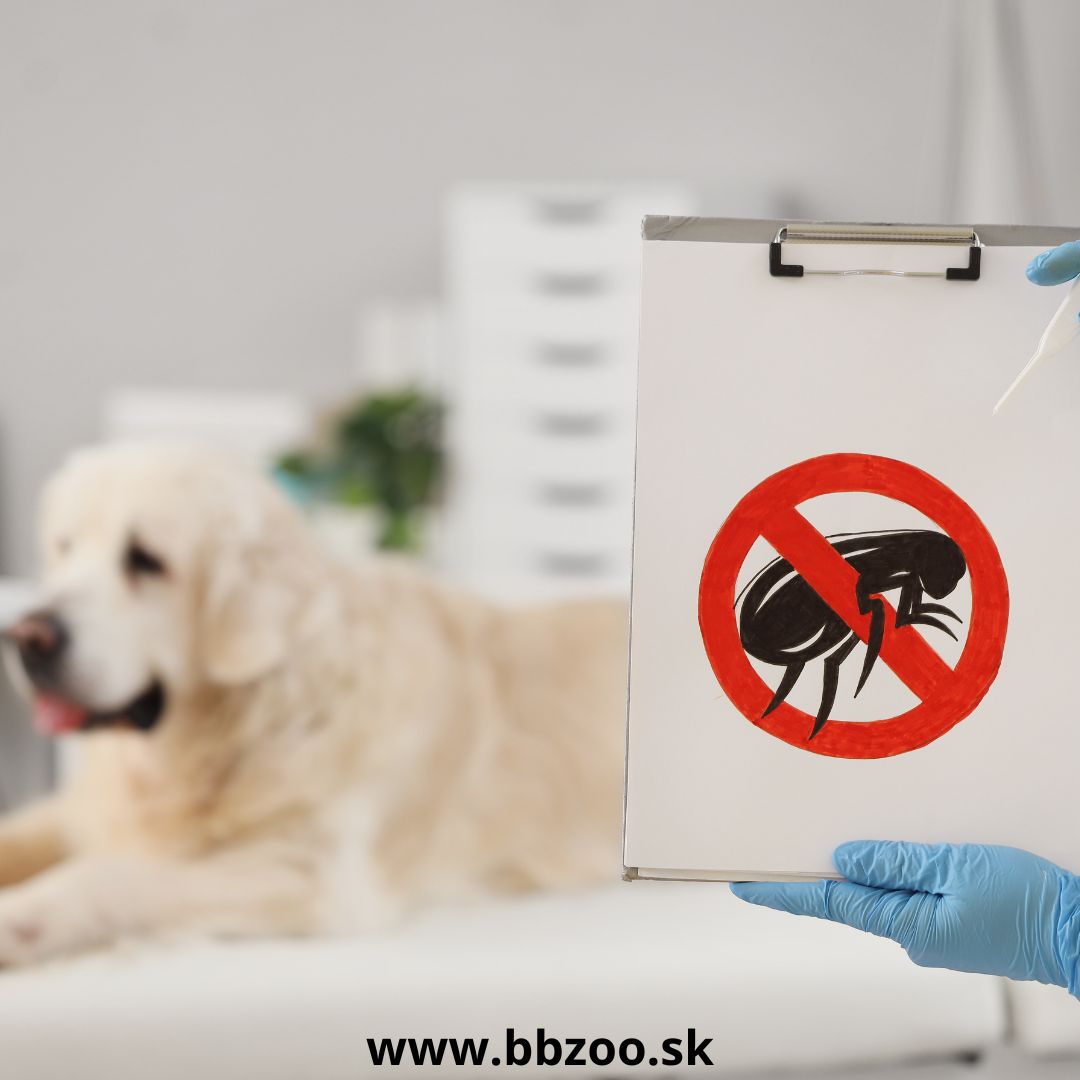 Ako vybrať najlepšiu ochranu proti kliešťom a blchám