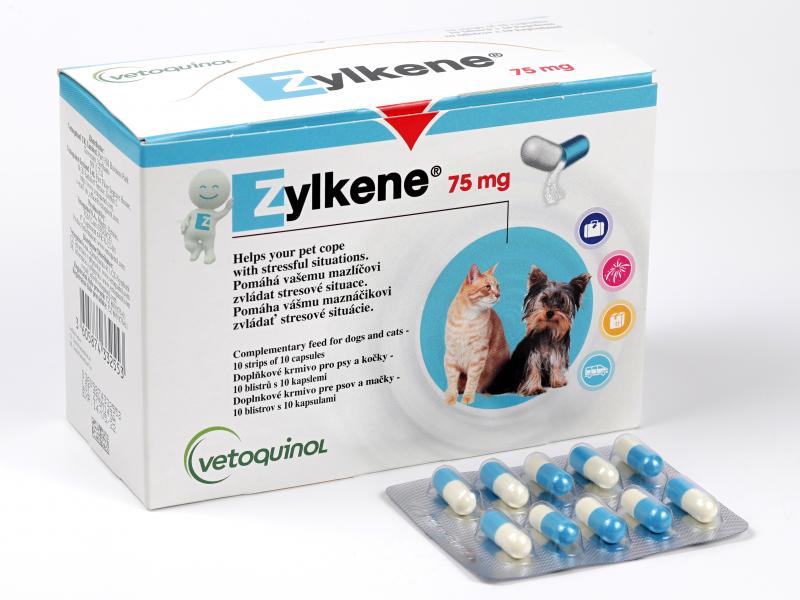 Vitamíny pre mačky	