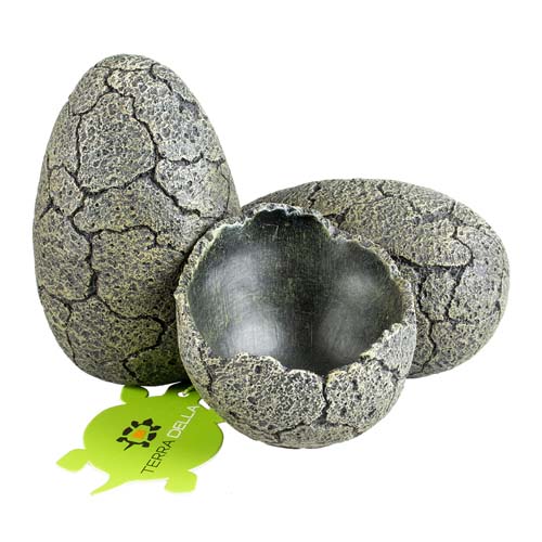 Dekorácie do terárií	