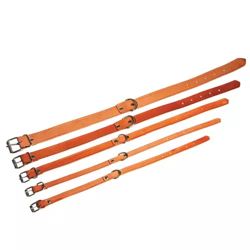 COBBYS PET Obojok z pravej kože 40cm/10mm prírodná hnedá