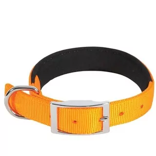 ZOLUX nylonový obojok oranžový 55CM 2,5CM