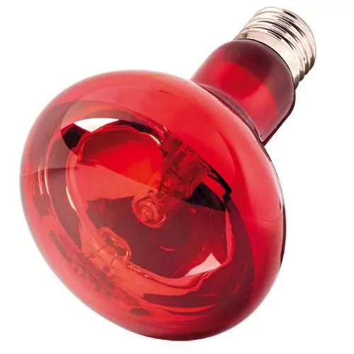 HOBBY Infraredlight ECO 42W -Infračervená tepelná žiarovka