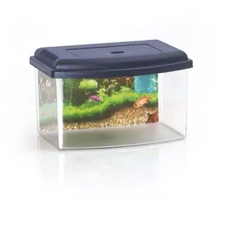 COBBYS PET Akvárium plastové 2, s krytom a pozadím 28x20x17,5cm 5,5l