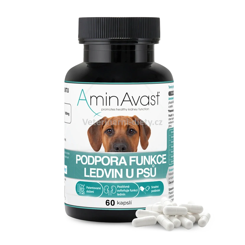 AminAvast 1000 mg 60 cps. pes