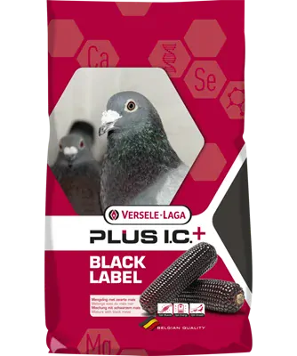 VL Holuby Black Label Start Plus I.C.+ chovná s čiernou kukuricou 20 kg