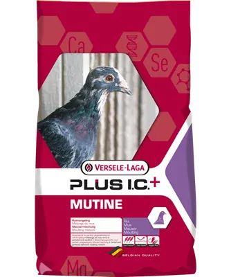 VL Holuby Black Label Mutine Plus I.C.+ preperovací s čiernou kukuricou 20 kg