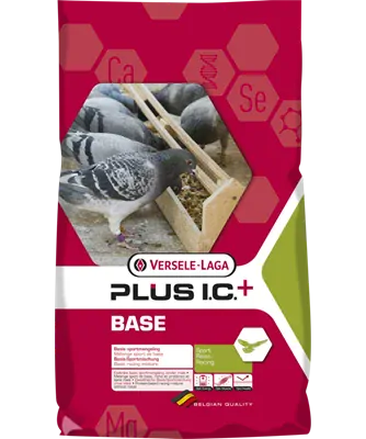 VL Holuby Base Plus I.C.+ základné 20 kg