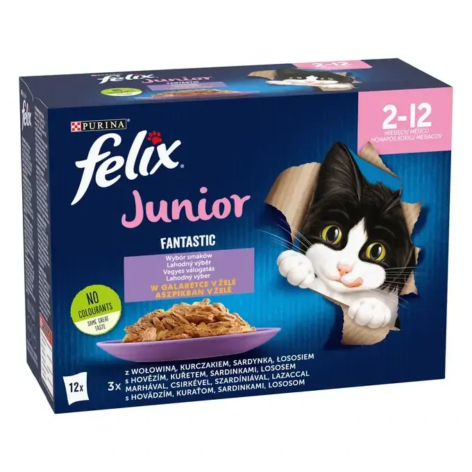 FELIX® Fantastic Junior multipack 12×85 g
