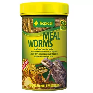 TROPICAL Meal worms 100ml/13g prírodné krmivo pre plazy