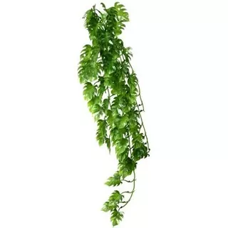 HOBBY PHILO popínavá rastlina dekorácia do terária 70 cm