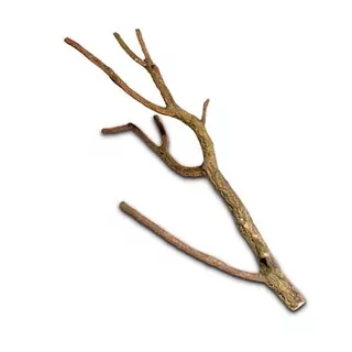 HOBBY Korková vetva 75-100cm