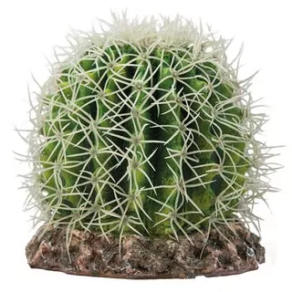 HOBBY Kaktus Sonora M 15x15x13cm