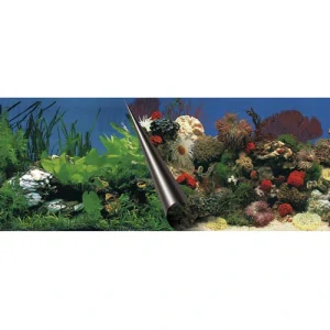 EBI Photo Decor Stone + Coral 80 x 40cm