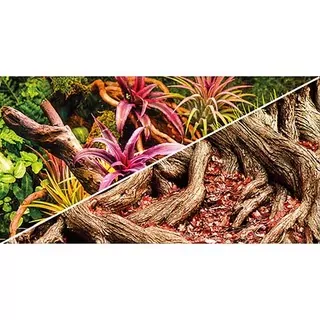 HOBBY Pozadie obojstranné Jungle / Strangler Fig 30cm x 25m