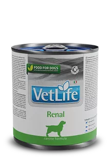 VET LIFE DOG RENAL 300G KONZ