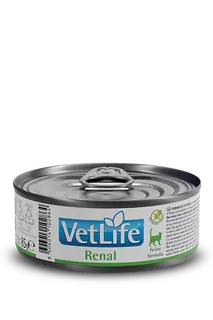 VET LIFE CAT RENAL 85G KONZ