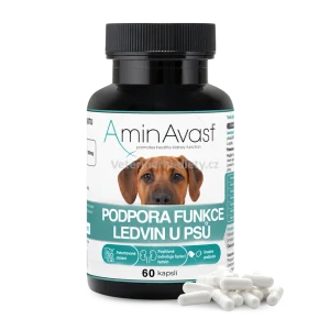 AminAvast 1000 mg 60 cps. pes