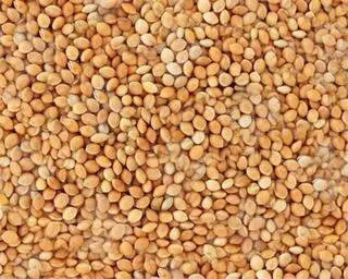 Versele laga Proso biele 25 kg