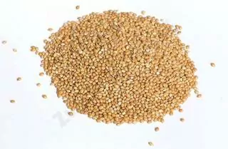 Proso žlté 25kg