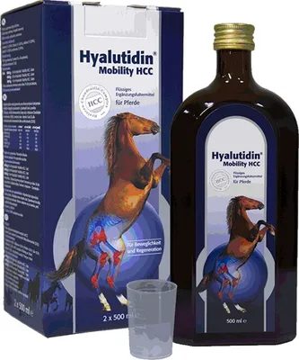 HYALUTIDIN HCC 2X500ML (KONE)