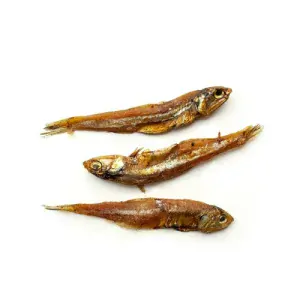 COBBYS PET AIKO Meat sušené ryby 1kg