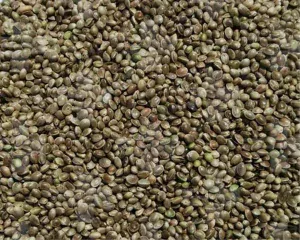 VL Holuby Semenec 20 kg