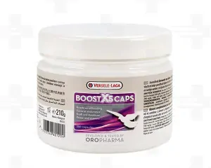 VL Holuby Boost X5 Caps 210g (350kapsul) - sila a vytrvalosť