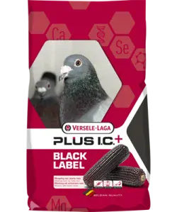 VL Holuby Black Label Start Plus I.C.+ chovná s čiernou kukuricou 20 kg
