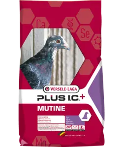 VL Holuby Black Label Mutine Plus I.C.+ preperovací s čiernou kukuricou 20 kg