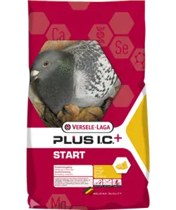 VL Holuby Start Plus I.C.+ chovná 20 kg