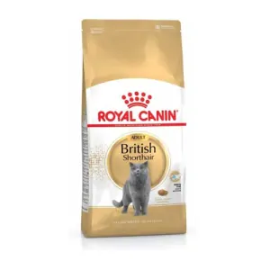 ROYAL CANIN FBN BRITISH SHORTHAIR 10kg