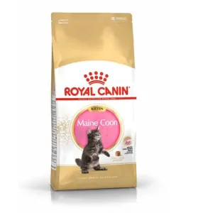 ROYAL CANIN FBN MAINE COON KITTEN 2Kg krmivo pre mačiatka mainských mývalích mačiek