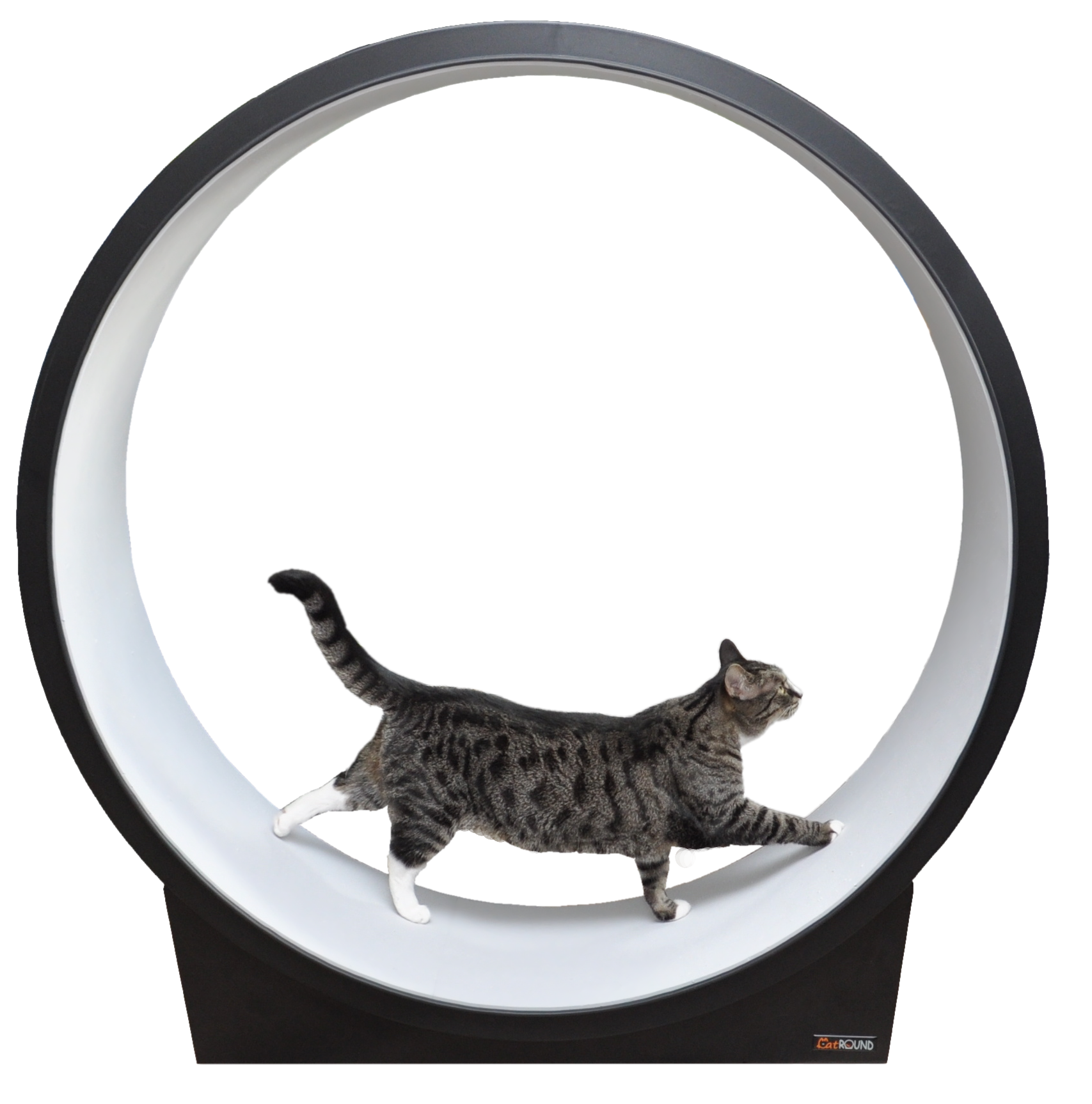 CatROUND – Behacie koleso pre mačky (Čierna/Svetlo šedá)