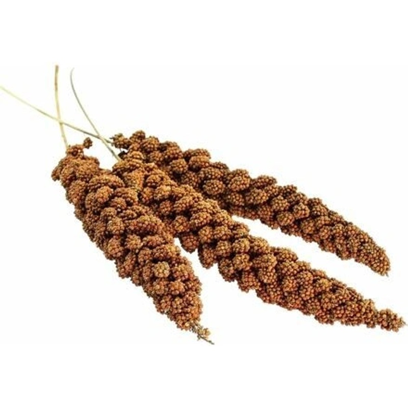 Senegalské proso 100g
