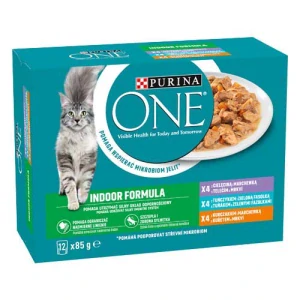 PURINA ONE Multipack Indoor mini filetky s kuraťom 12x85g