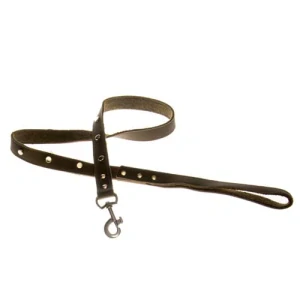 COBBYS PET Vodidlo z pravej kože hnedé, podšité, zdobené s kovovými nitmi 25mm/120cm