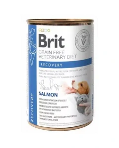 Brit Veterinary Diets GF cat + pes Recovery 400 g konzerva