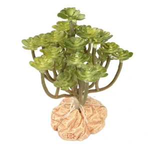 TERRA DELLA Umelá rastlina do terária Aeonium Green 8x8x14cm