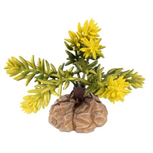 TERRA DELLA Umelá rastlina do terária Sedum morganianum Green 8x8x12cm