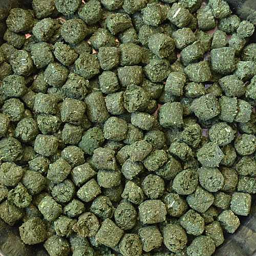 KIKI OPTIMUM BABY 600g špeciálne chrumkavé granule pre mladé zajace znižujúce zápach moču