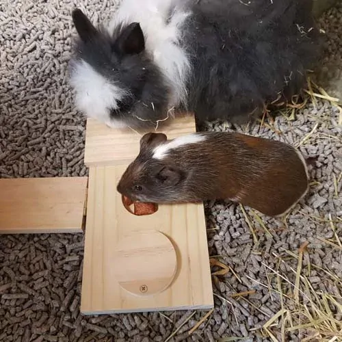 DUVO+ Drevené puzzle na pochúťky DAN 28x12x2,5cm