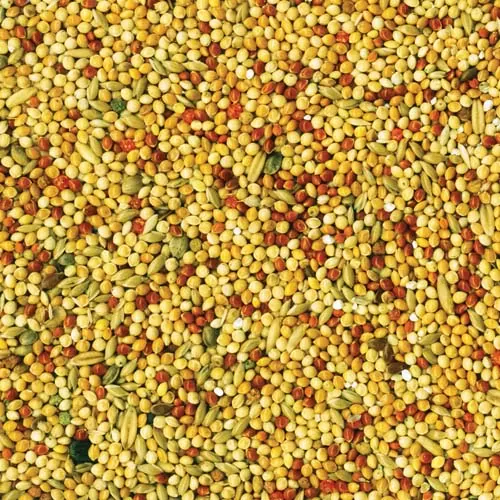 TROPIFIT Budgie 250g krmivo pre andulky