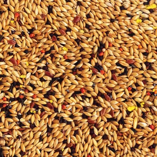 TROPIFIT Canary 700g krmivo pre kanáriky