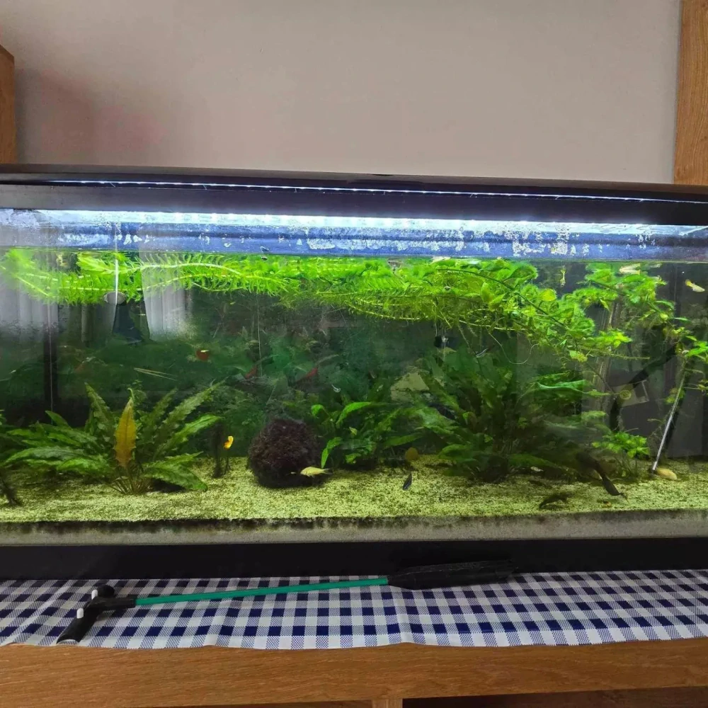 PACIFIC 100 akvárium s výbavou 120l 100x30x40cm 1x30W