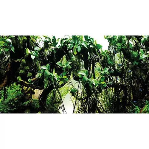 HOBBY Pozadie do akvária samolepiace, predrezané 1000x50cm Perlová rieka - Hlboká delta