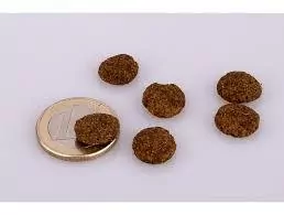 Marp Holistic Salmon GF 12 kg