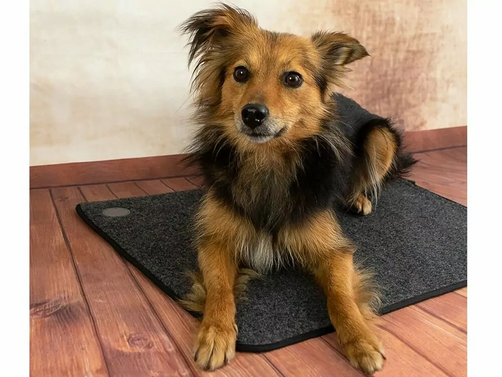 Výhrevná podložka pre psov THERMODOG 3523000 - vykurovací koberec 40x60cm