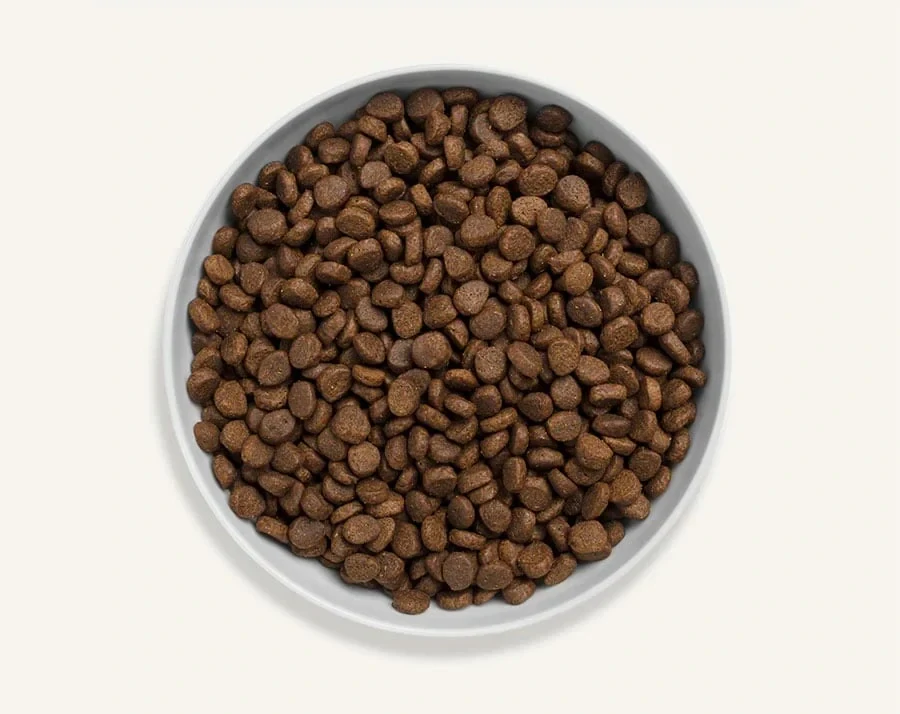 CANAGAN Cat Free-Range Chicken 4kg
