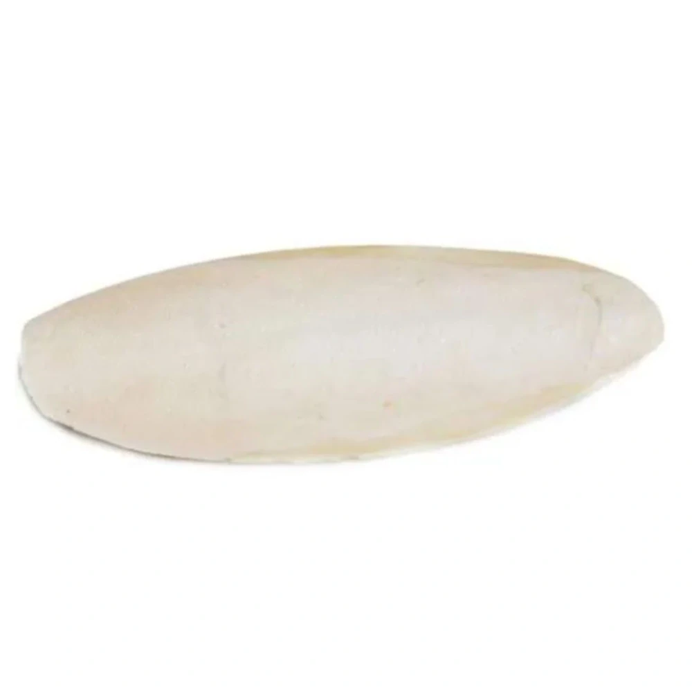 DUVO+ Originálna XXL sepiová kosť na karte +/-20cm 1ks