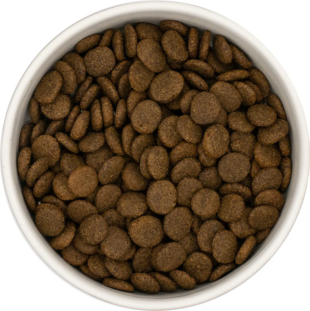 HAFFUN Dospelý pes Grain-Free - Morka s batátmi a brusnicami 15kg